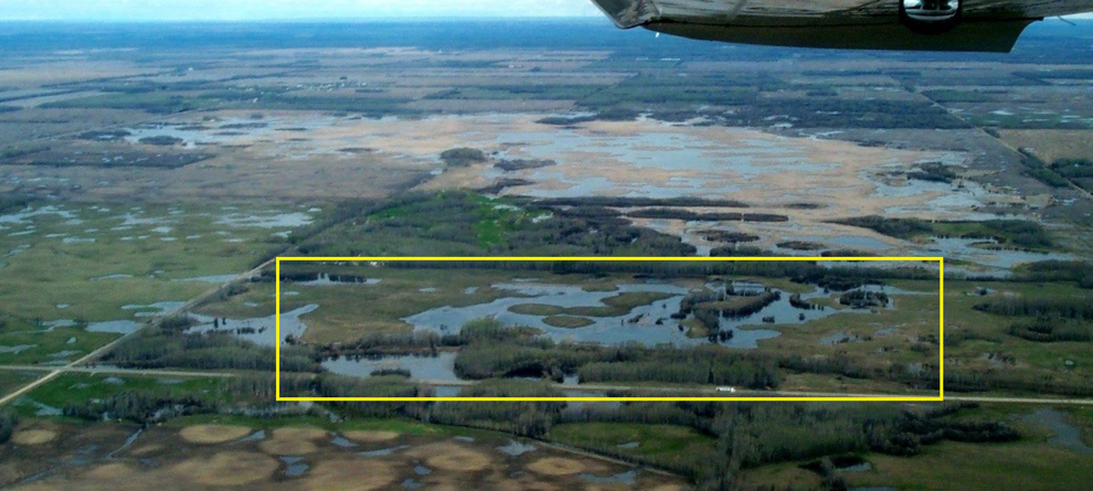 Edmonton Wet Land Restoration